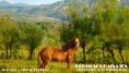 /album/turismo/a10300315-266505386863195-8292488690977159288-n-jpg1/